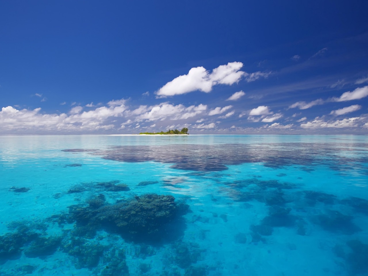 Oceans Image Blue Paradise HD Wallpaper And Background
