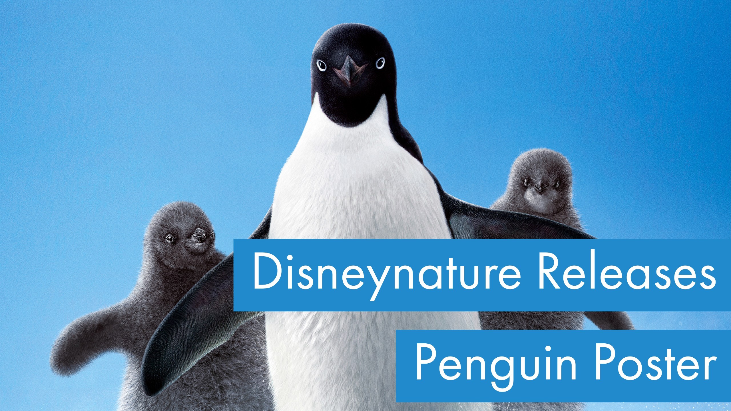 Disneynature Releases Poster For Uping Penguins Feature On