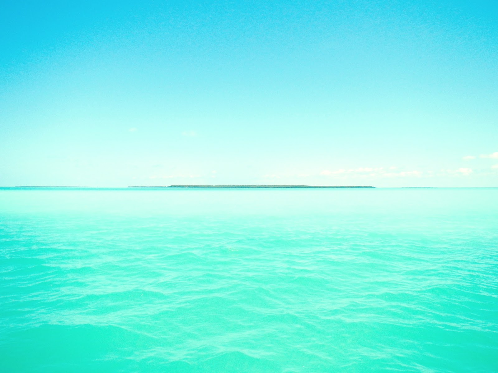 Mint Color Wallpaper Of Colored Water