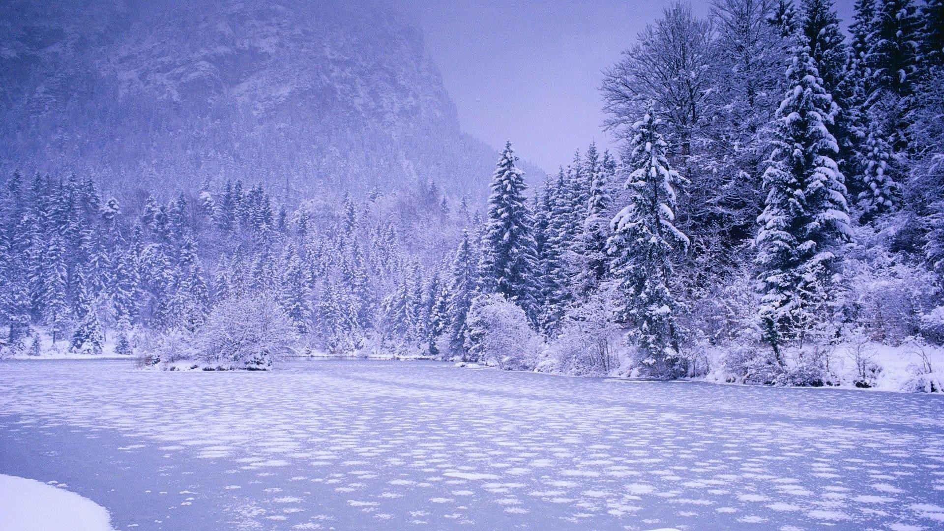 A serene winter landscape with snow-covered trees and a frozen lake