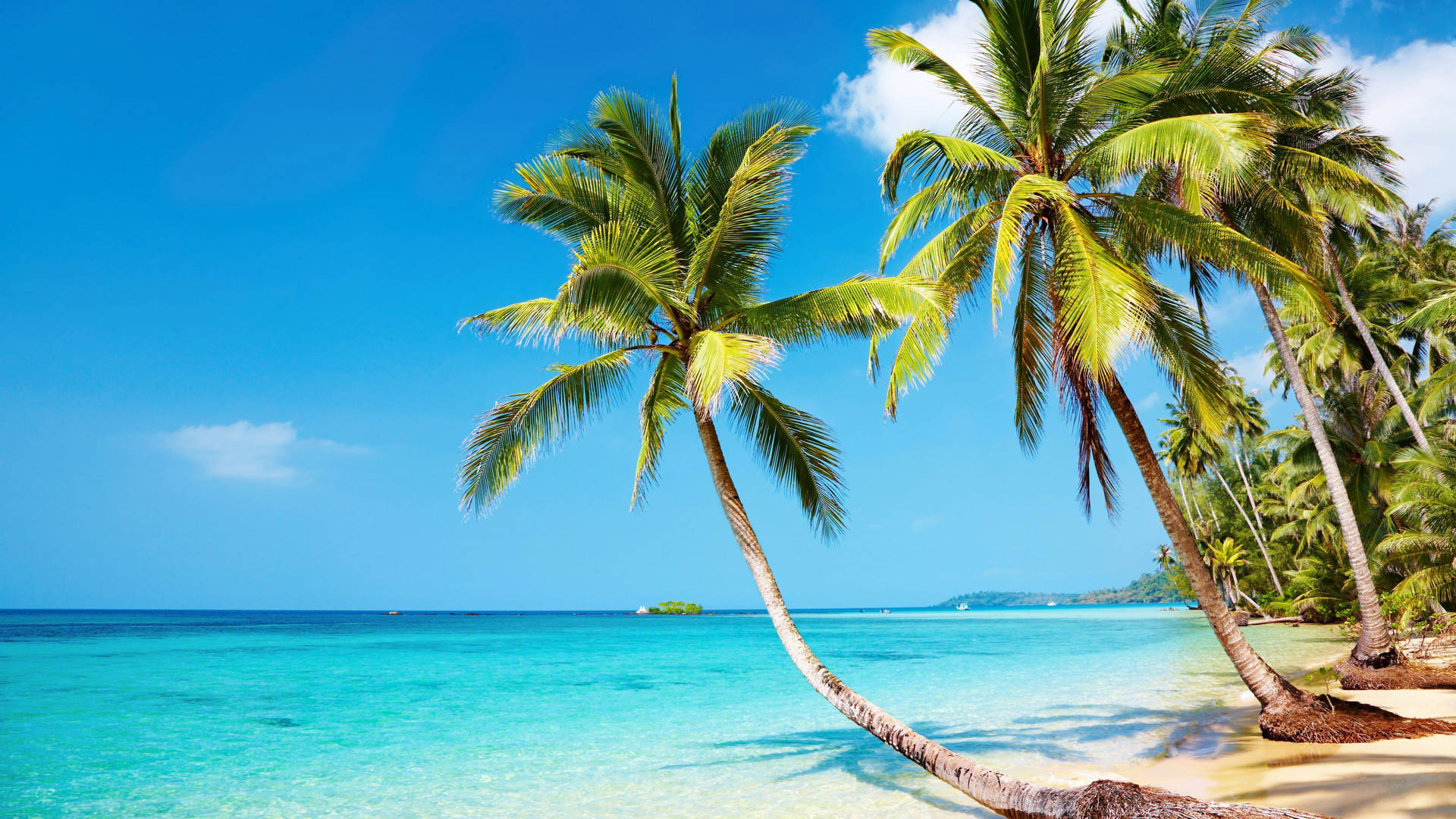 Beach Scenes Desktop Wallpaper