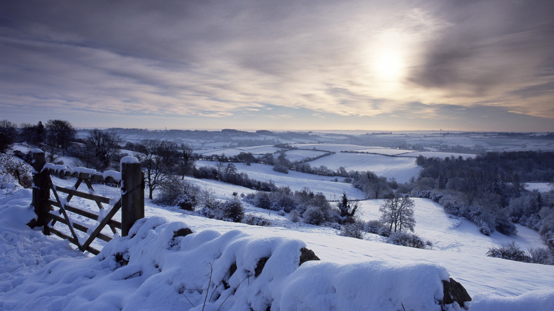 Winter Morning In The English Countryside I