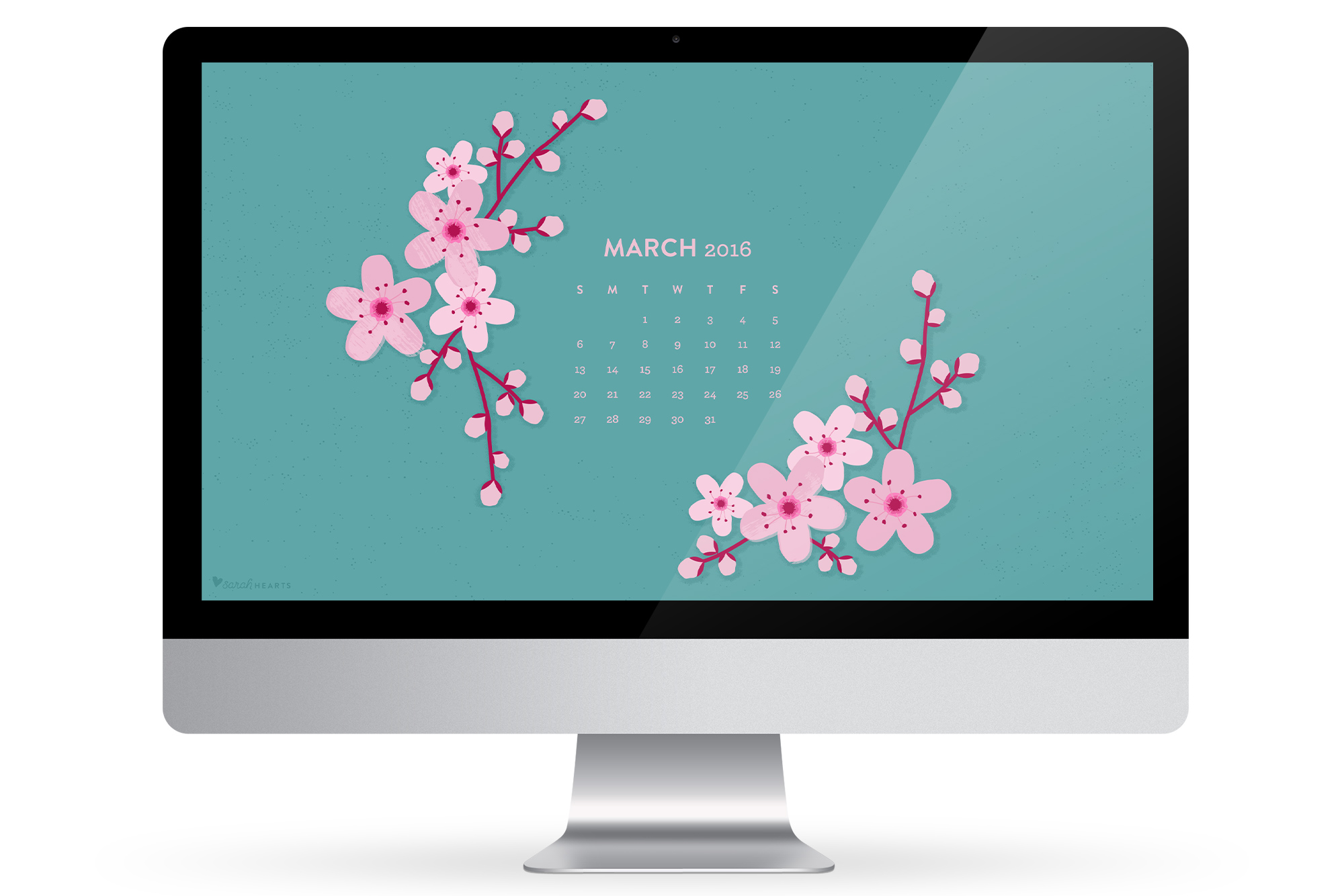 Phone Or Tablet With This Cherry Blossom Calendar Wallpaper