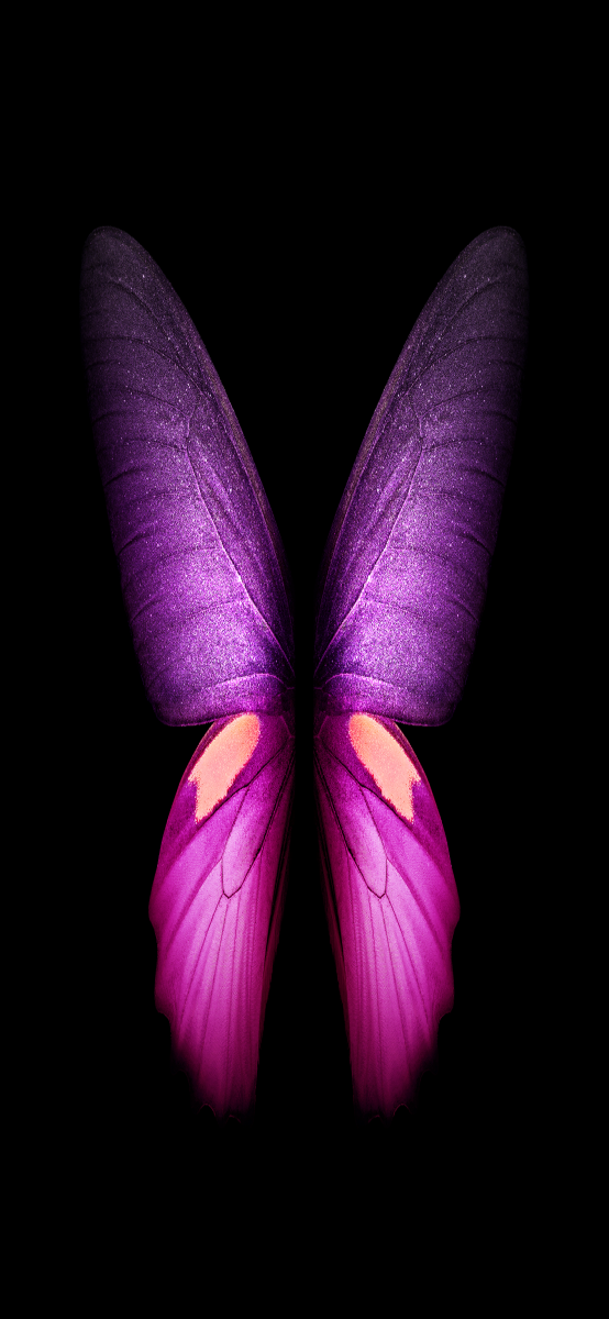Free download Samsung Galaxy Fold Wallpapers on [554x1200] for your ...