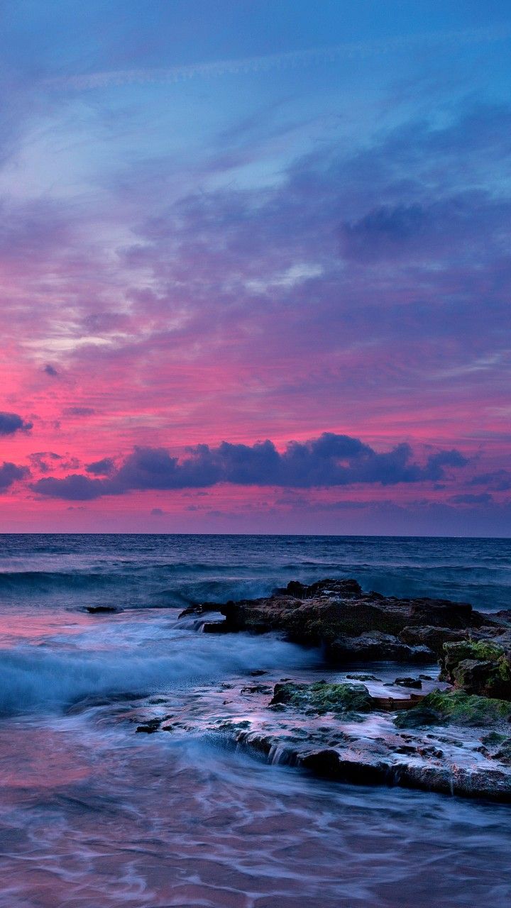 Pink Ocean GIFs  Tenor