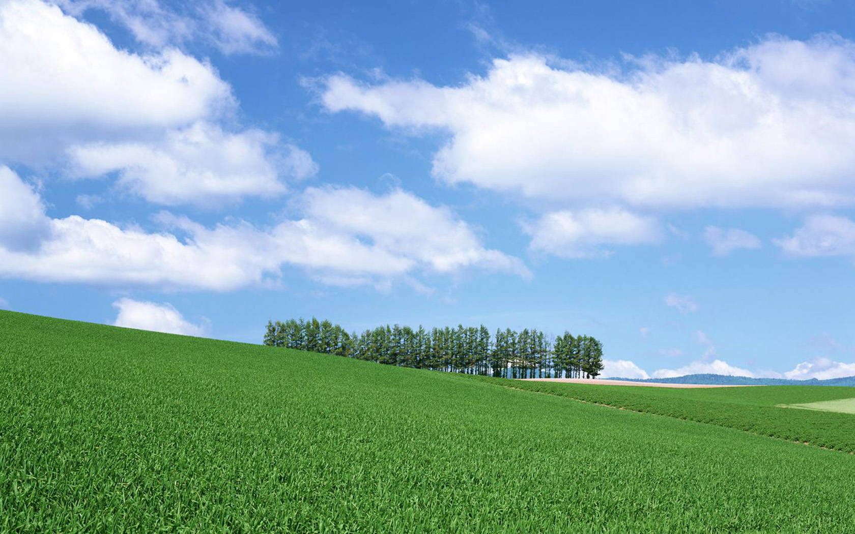 Hokkaido Grass And Blue Sky Wallpaper City