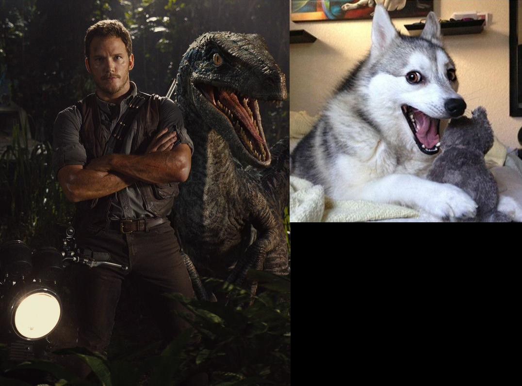 Jurassic World The Raptor In Background Reminded Me Of This Meme