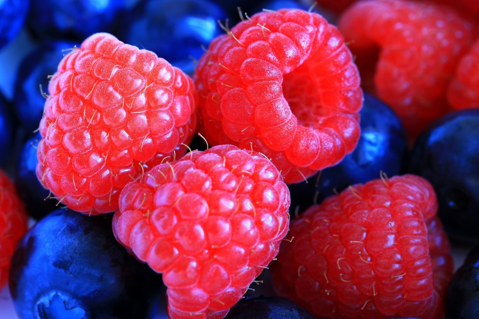 Raspberries Cranberries Berry Close Up Stock Photos Image