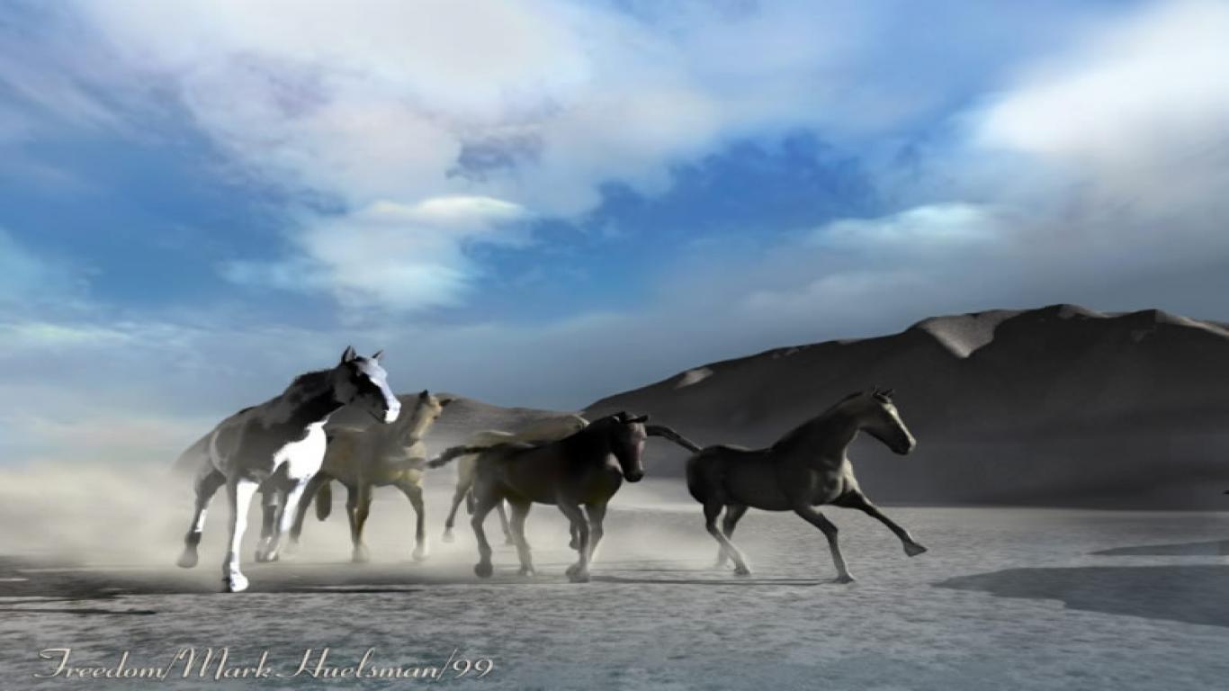 Fantasy Horses Horse X Widescreen HD D With Resolutions
