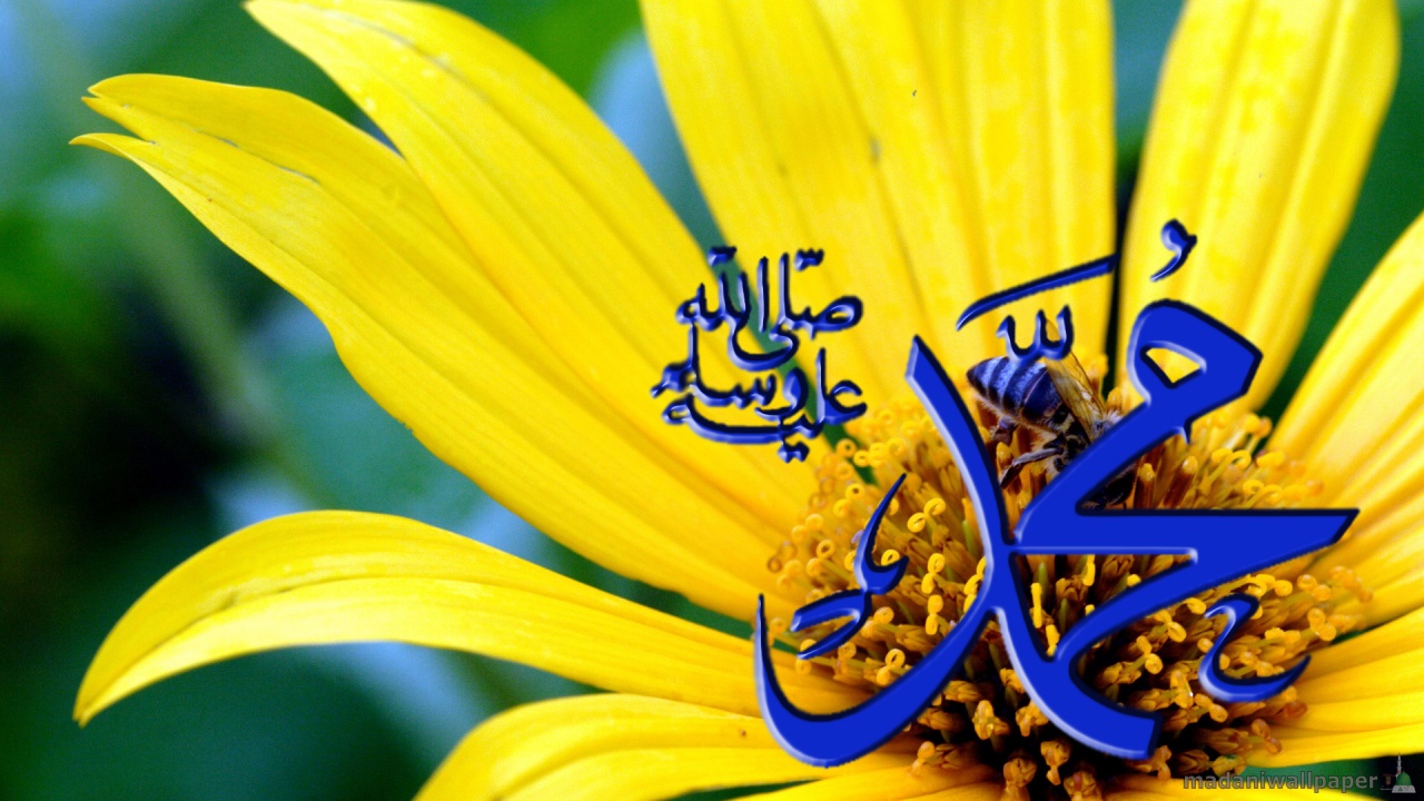 Muhammad Name In Arabic