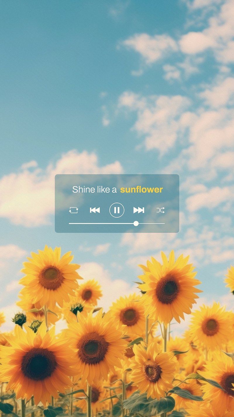 Sunflower Aesthetic Wallpaper