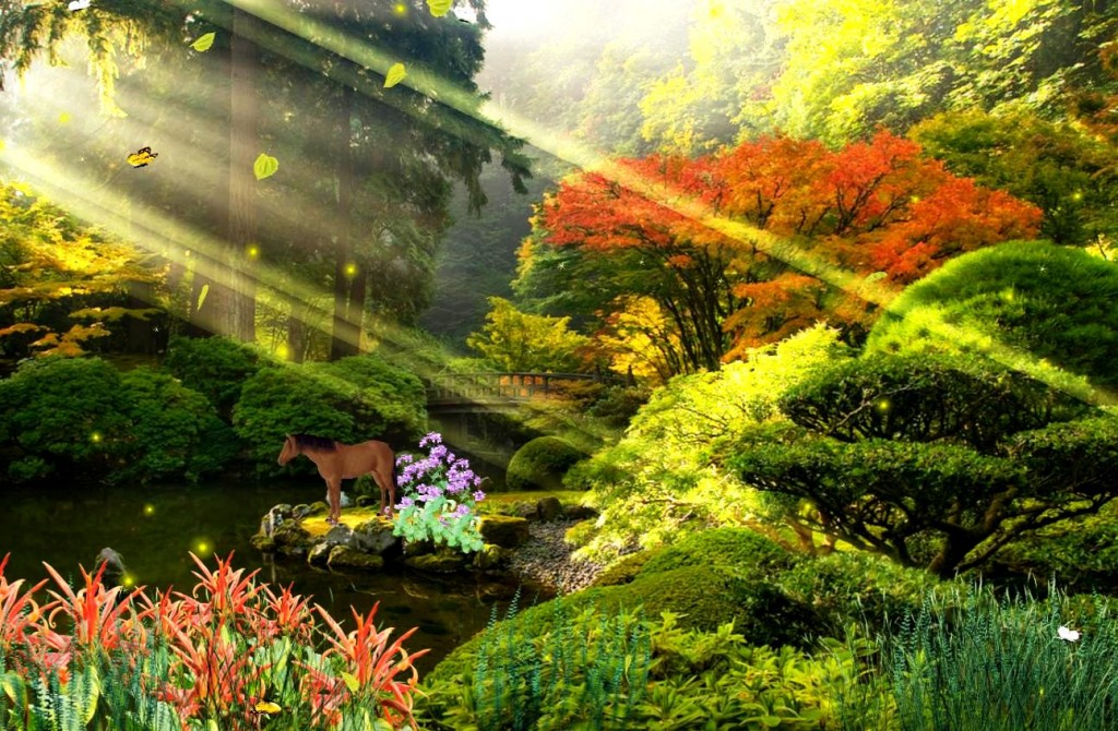 animated nature wallpaper by Ankit15815  Download on ZEDGE  afba