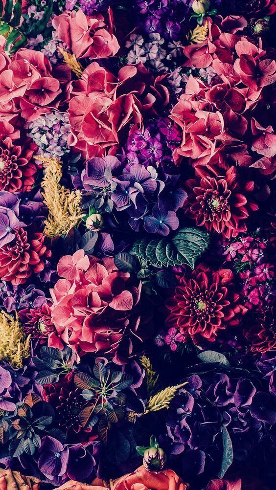 Hãy để chiếc iPhone 7 Plus của bạn trở nên đẹp hơn bao giờ hết với những chi tiết hoa lá đầy sắc màu. Với chất lượng ảnh sắc nét và chất liệu ốp lưng cao cấp, bộ hình nền mang phong cách hoa lá này sẽ khiến bạn yêu thích iPhone của mình hơn bao giờ hết.
