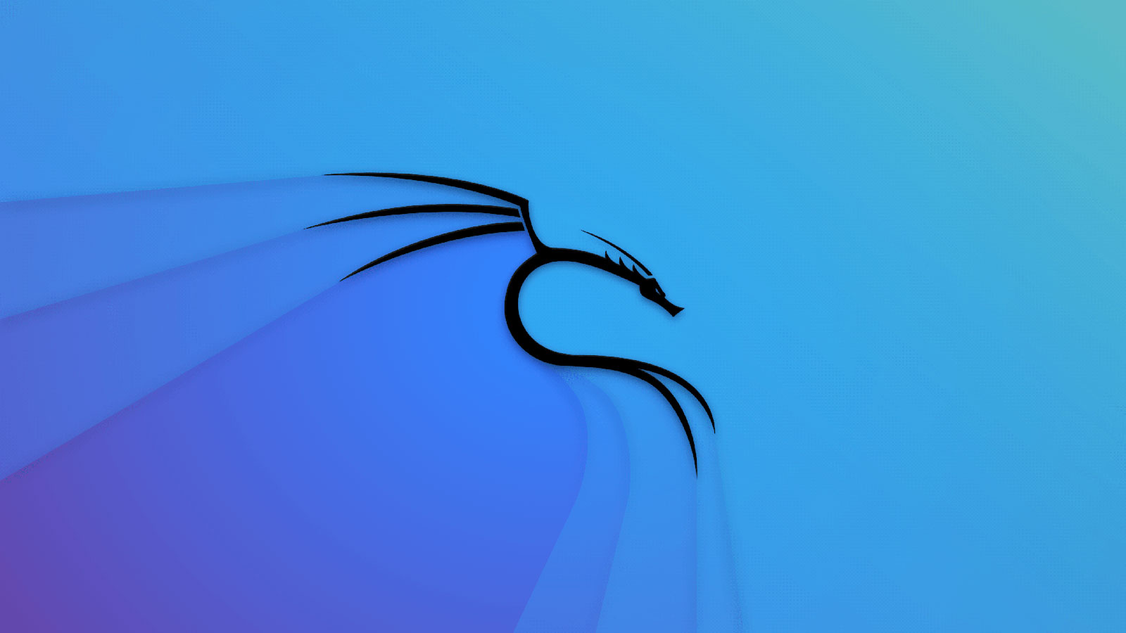 Kali Linux Wallpaper On