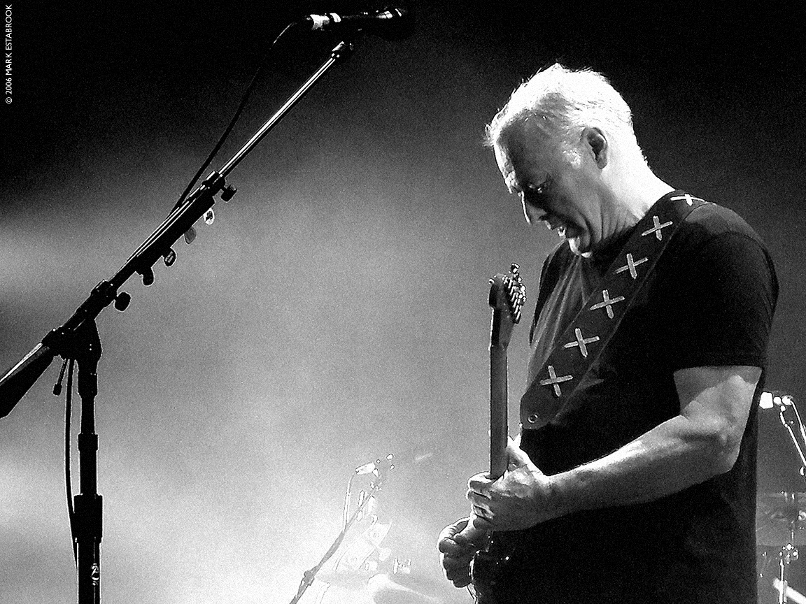 Pink Floyd News Brain Damage David Gilmour