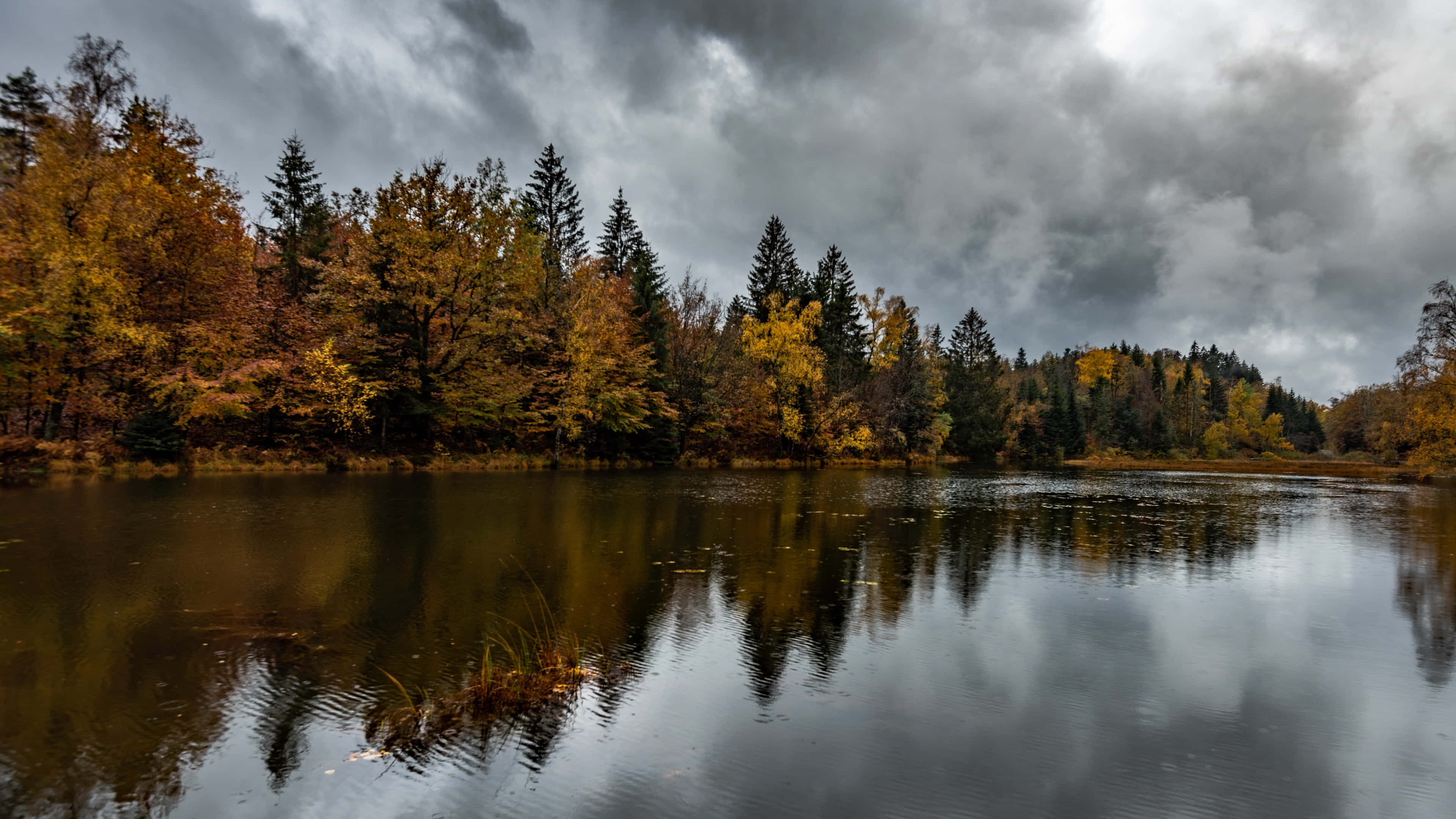Early Fall Wallpaper