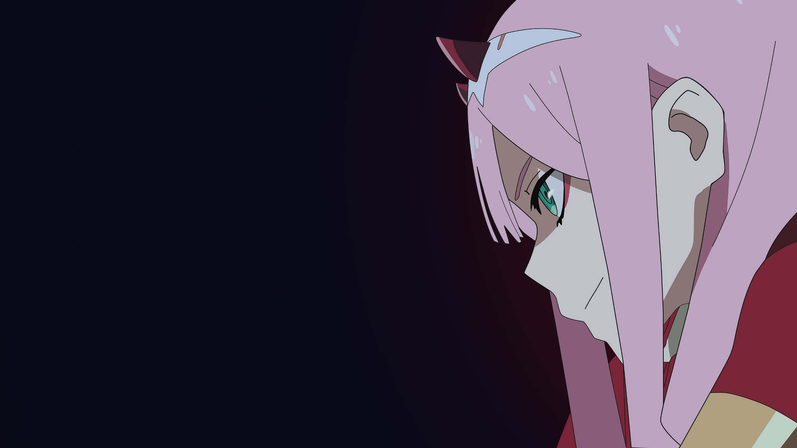 Darling In The Franxx Picture Wallpaper