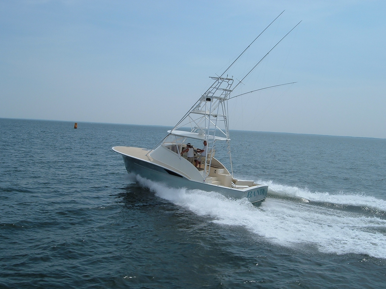 Best Sportfish Background