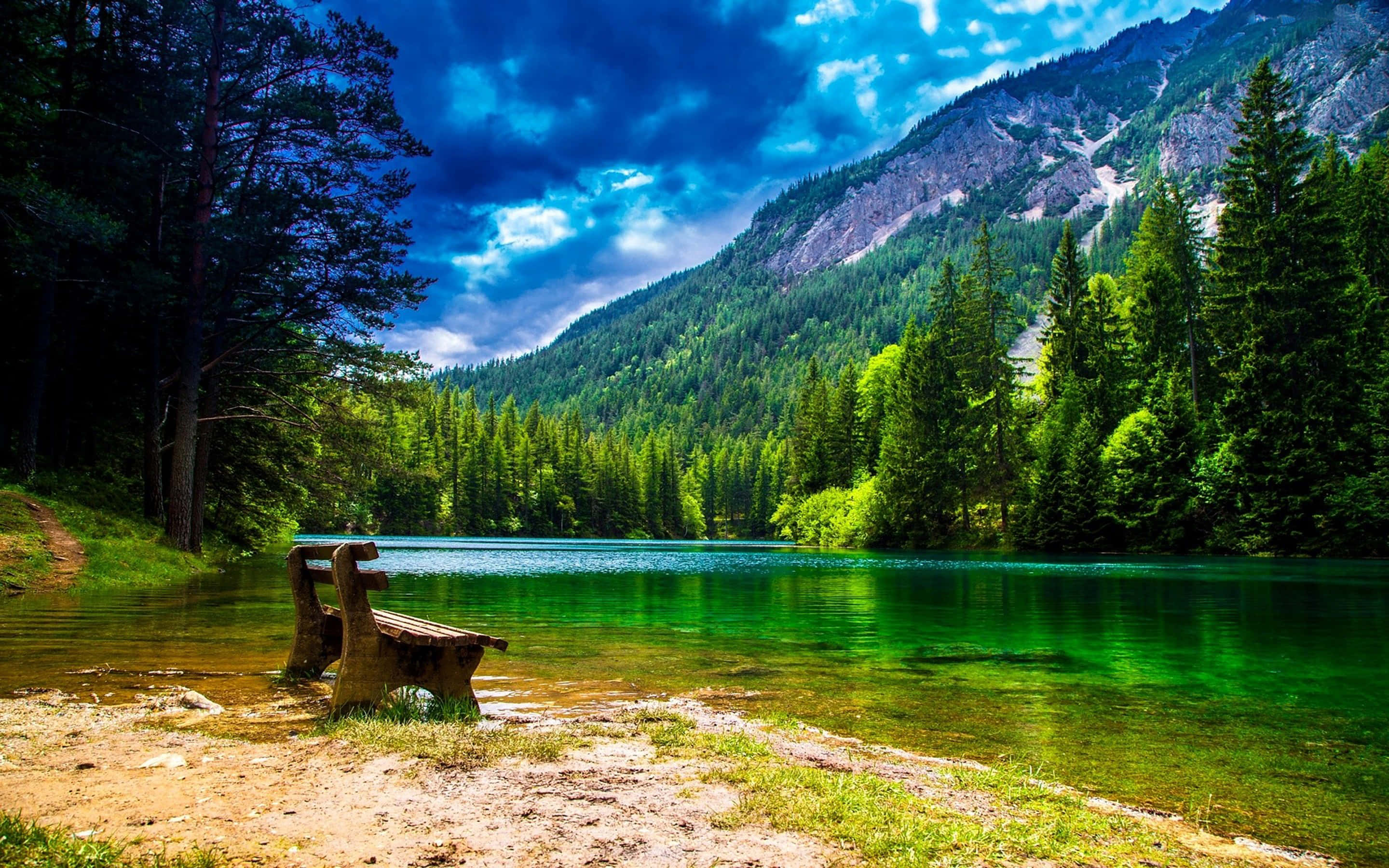 Beautiful Wallpaper
