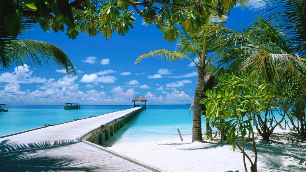 Download Beach Palm Trees HD Wallpaper Wide Desktop Nature Beaches