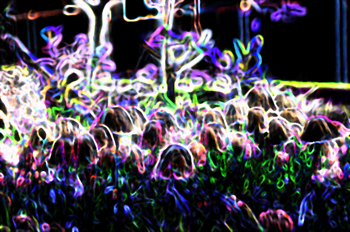 Shroom Trip Wallpaper By Taakuin