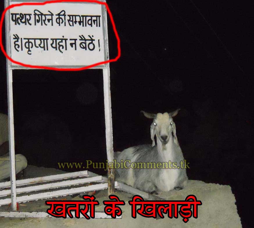 Funny New Hindi Status For In Very Picture From