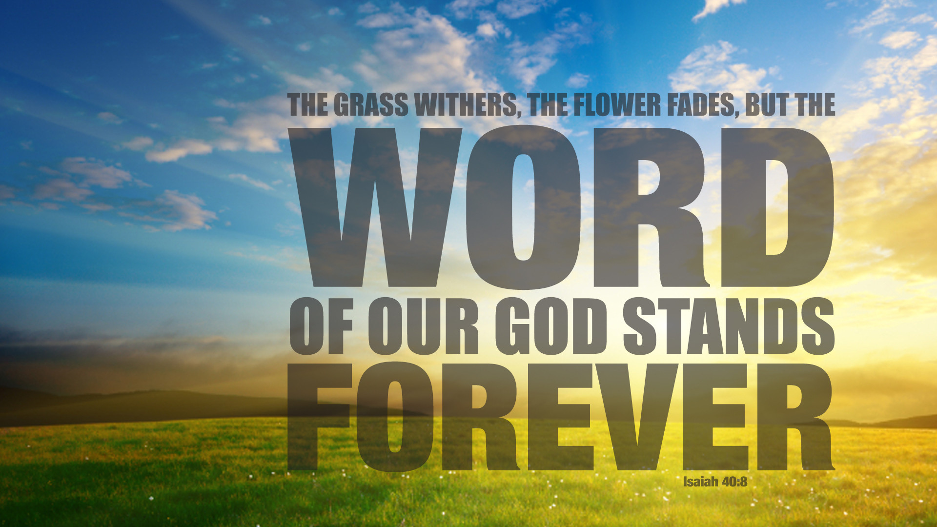 Isaiah 40:8 Bible Verse Wallpaper: 