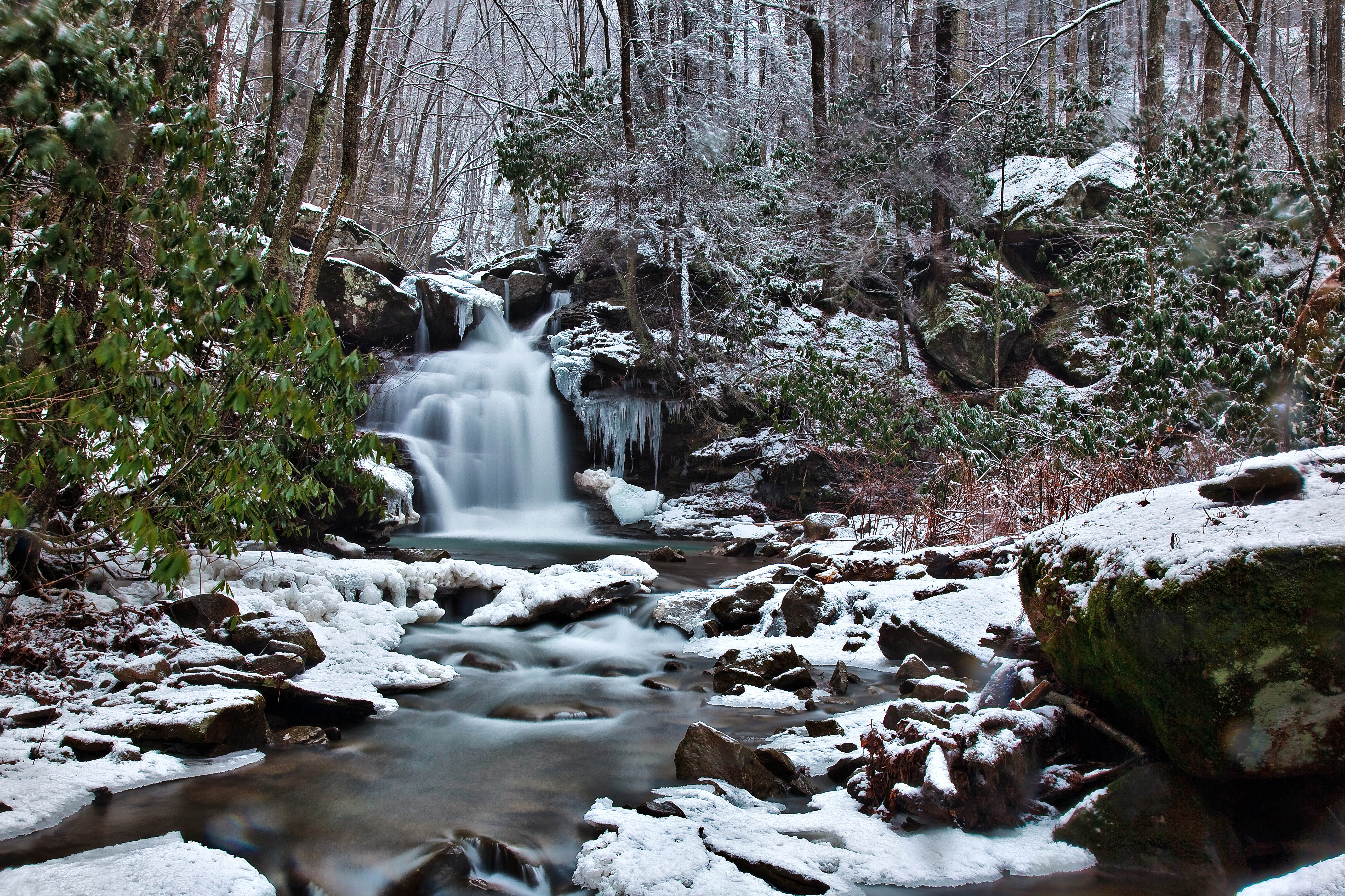 Forest Waterfall Winter Snow Scene Waterfalls Nature Pictures