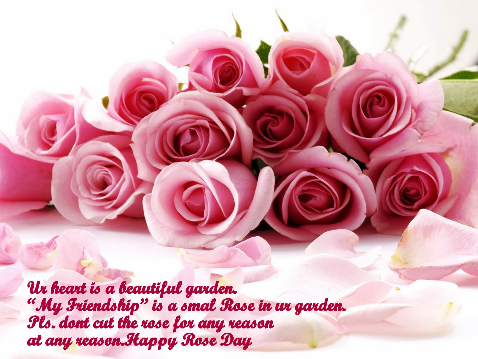 Happy Rose Day Wishes Images - ShayariMaza