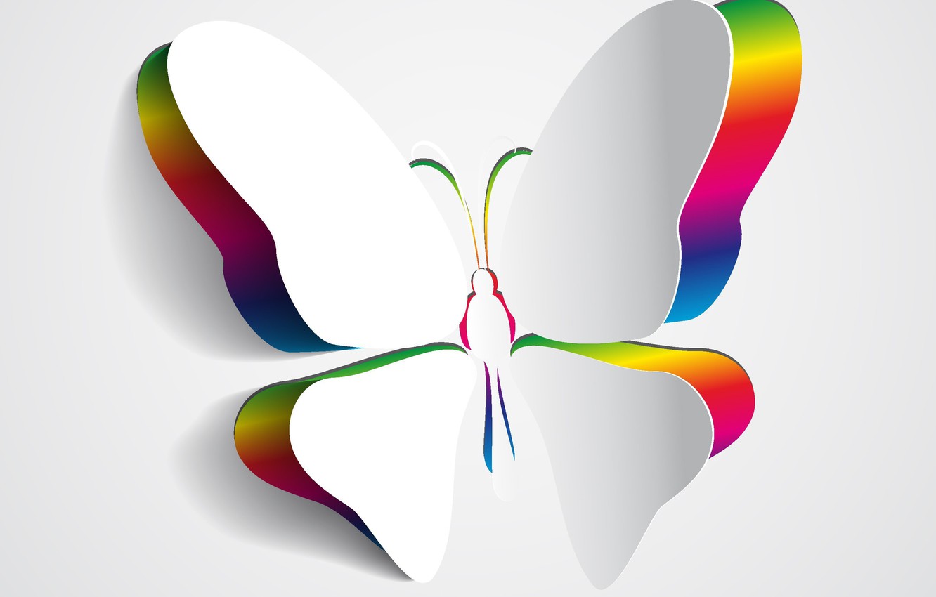 Wallpaper Color Background Butterfly Wings Image For Desktop