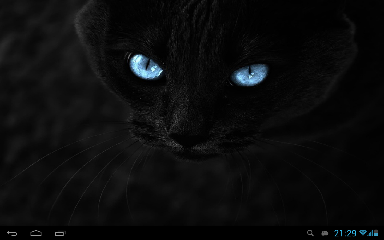 [49+] Black Cat Wallpaper for Android | WallpaperSafari.com