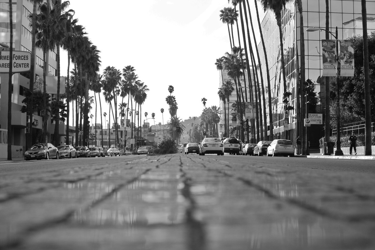 Hollywood Blvd By Xraystyle