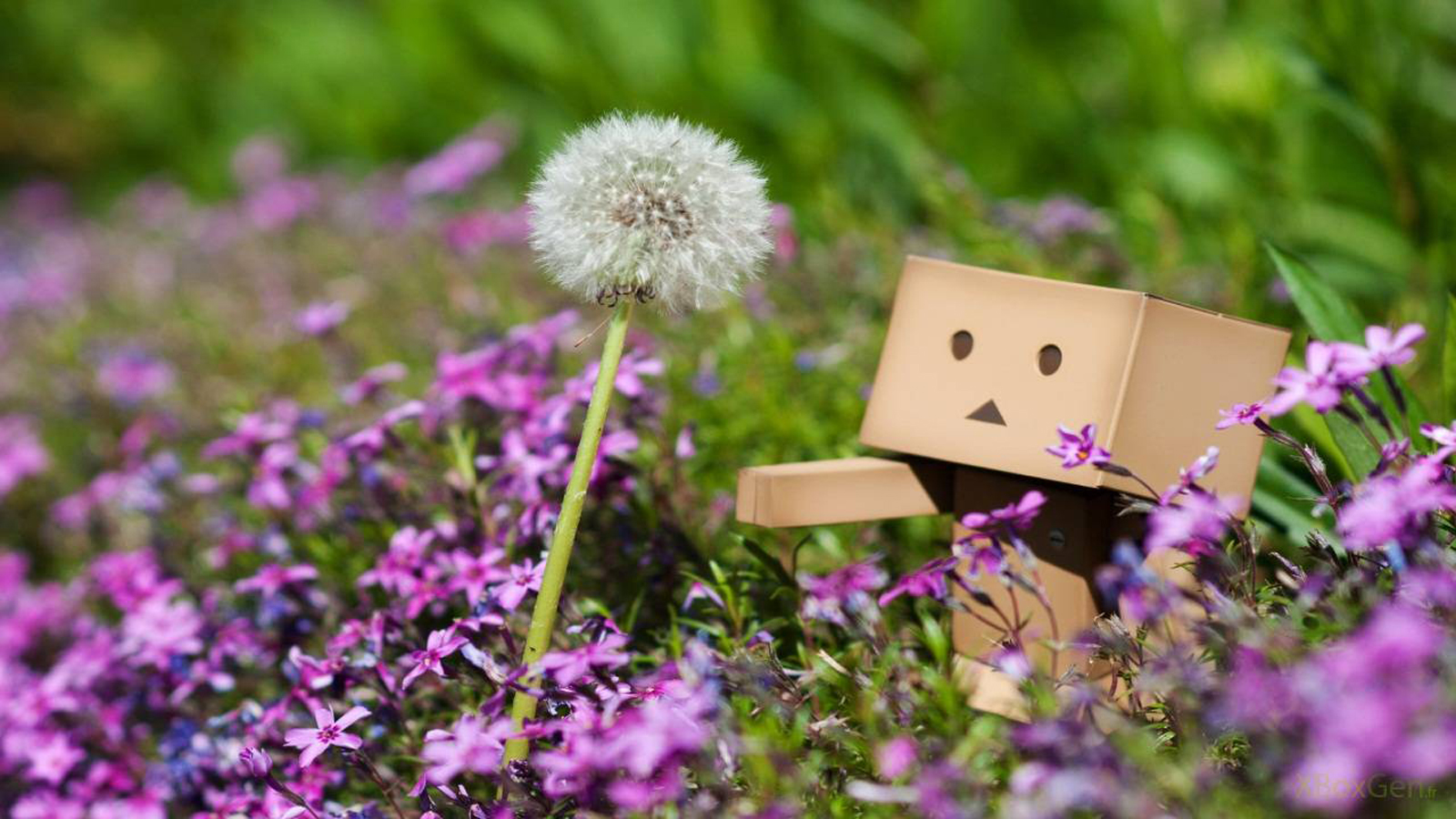 Cute Boxman HD Wallpaper In For Your