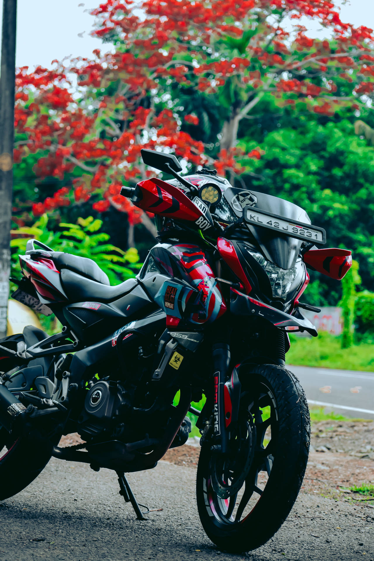Ns Pulsar Red Leaves Tree 64lzl2oi1tlkwaut Wallpaper
