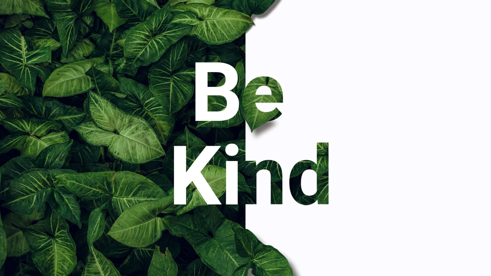 Be Kind X Wallpaper