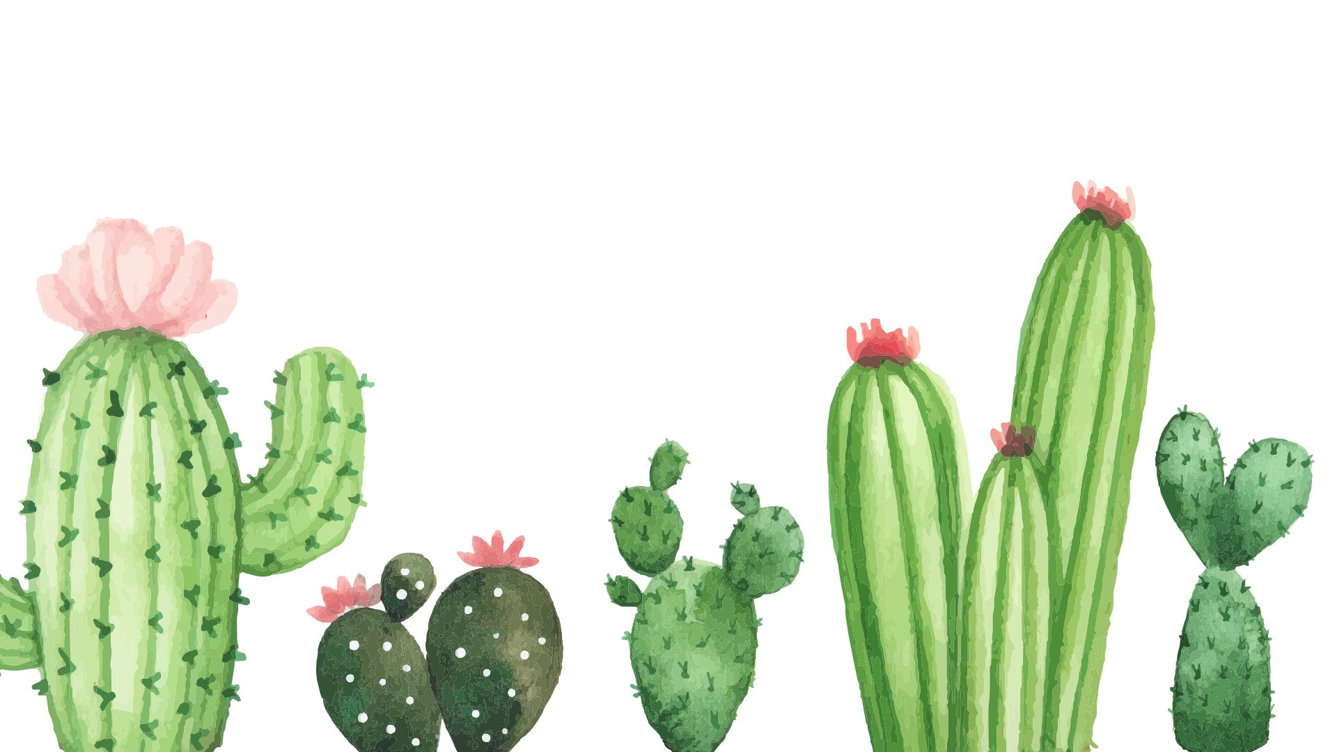 Download Cactus Wallpaper For Puter Desktop By Tvincent Cactus Backgrounds Cactus