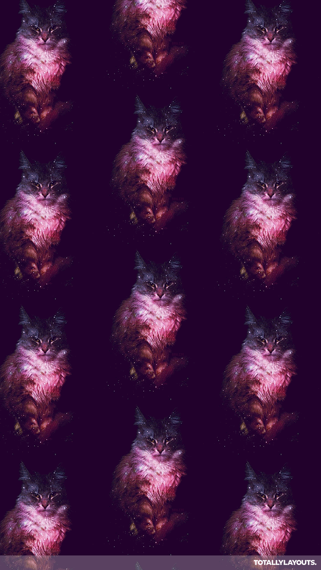 Galaxy Nebula Cat iPhone Wallpaper Hipster