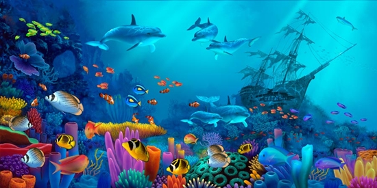 Underwater Murals Sea Life Wallpaper Your Way