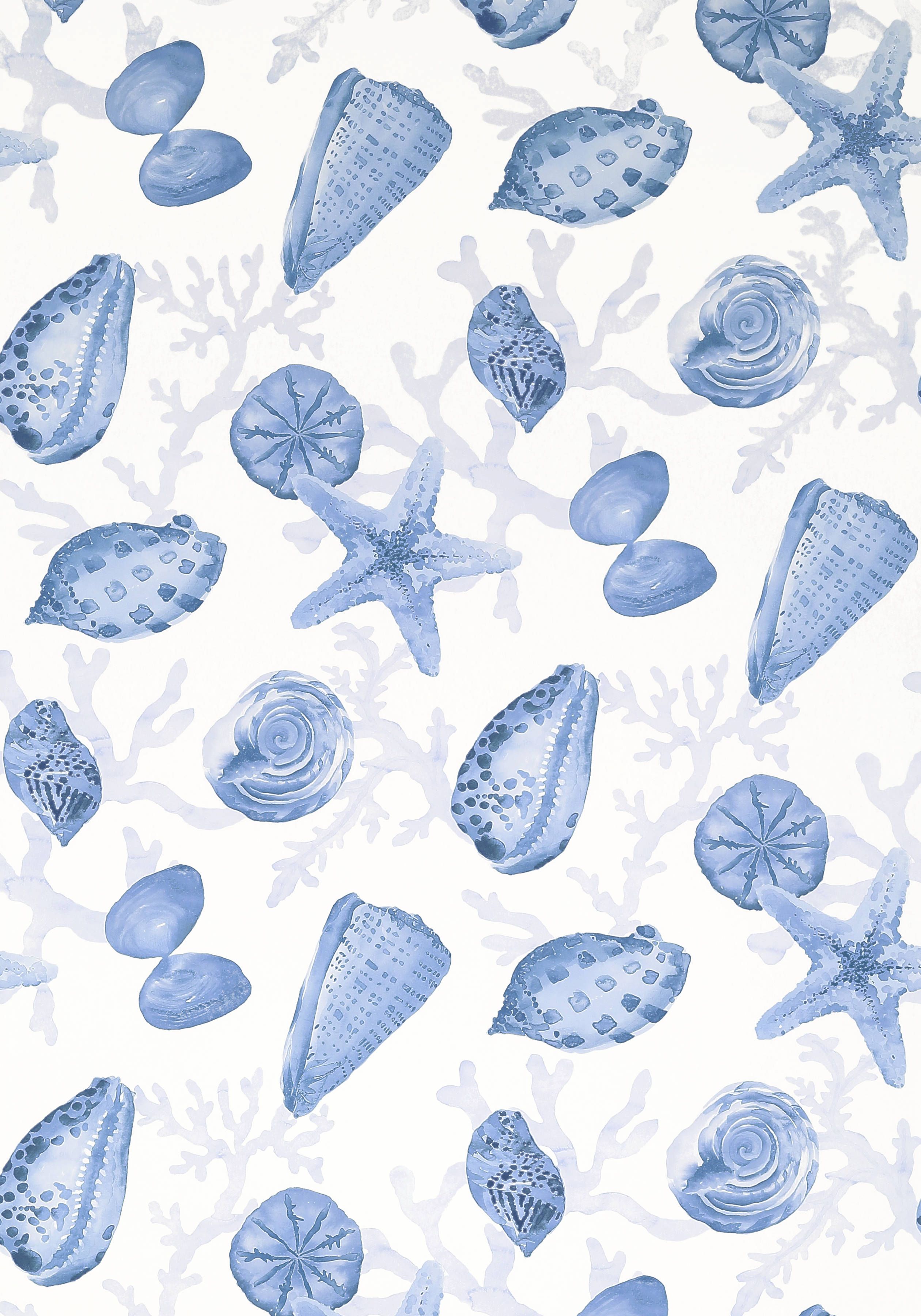 Clearwater Blue And White T5763 Collection Biscayne From