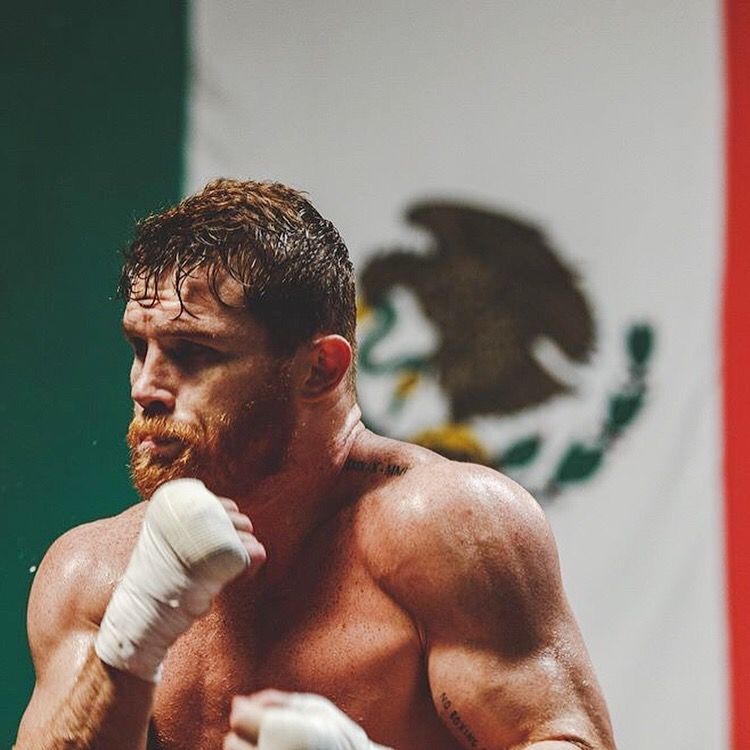 Pin De Rahul Bhosale En Ufc Wallpaper