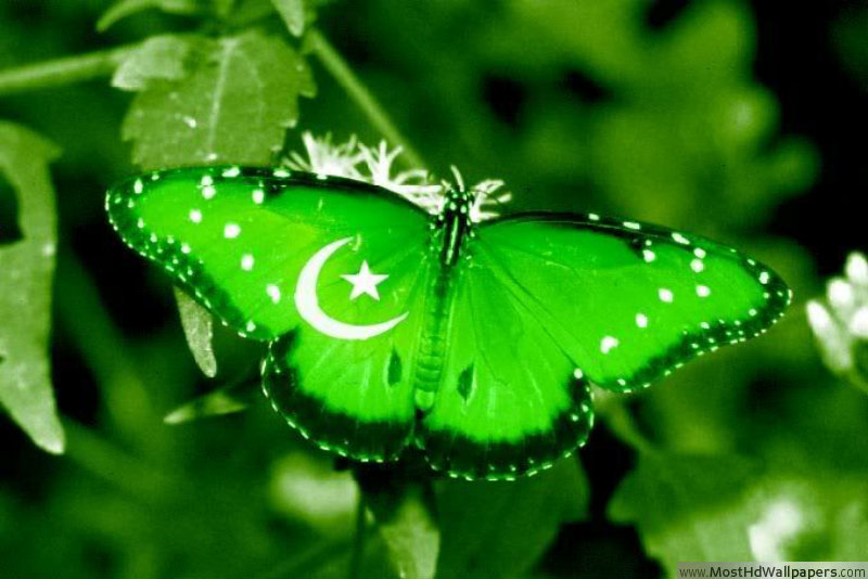 Pakistan Flag Most HD Wallpaper Pictures Desktop Background