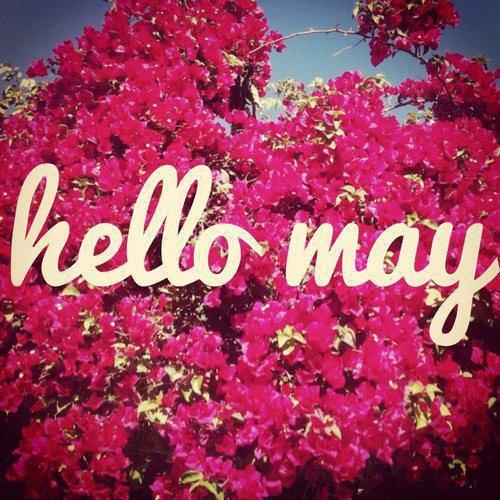 Hello May Wallpaper \x3cb\x3ehello may\x3cb\x3e flowers quotes