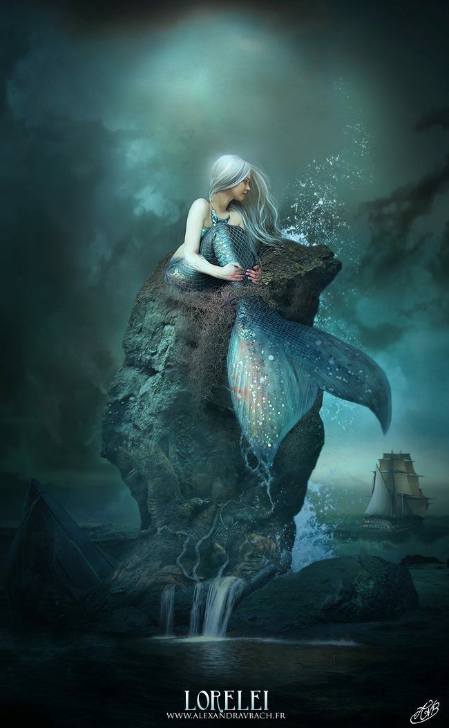 How Did She Get Up On That Rock Fantasy Mermaids Mermaid