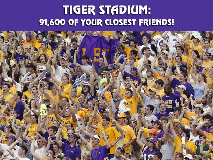 Lsu Fans In Death Valley Tigers Colors Purple