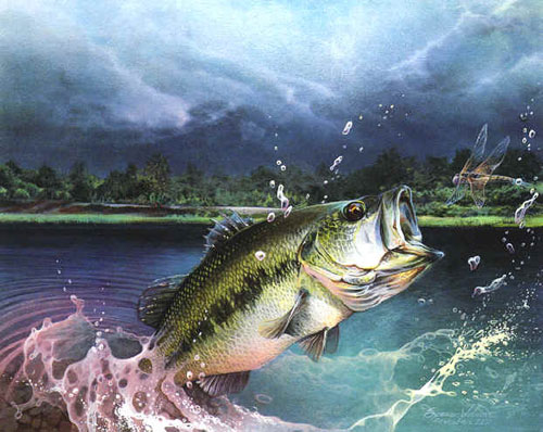 Bass Wallpaper Fishing Trout Painting