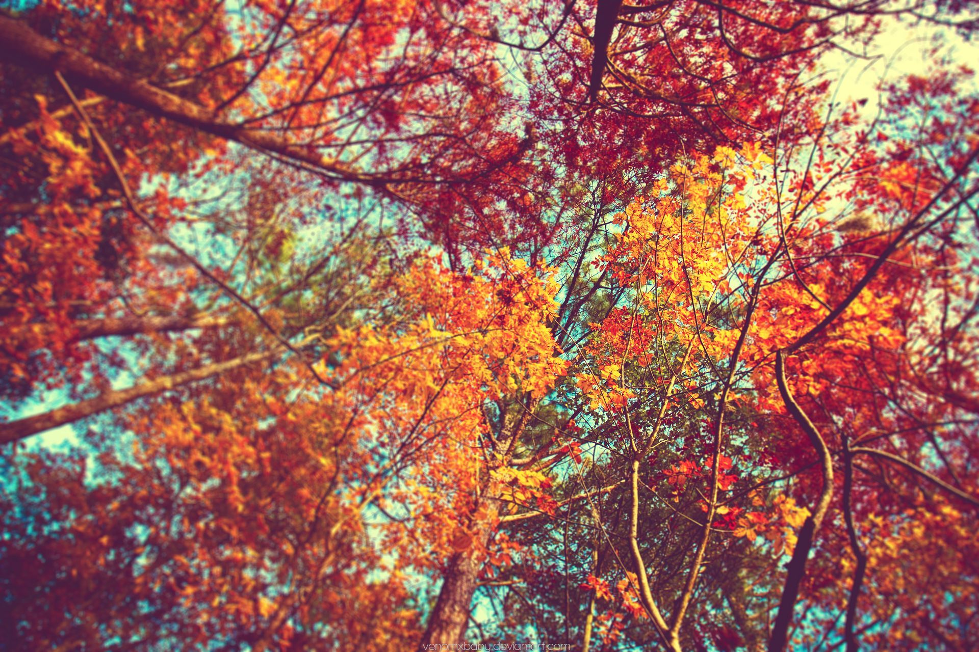 Fall Aesthetic Desktop Wallpaper