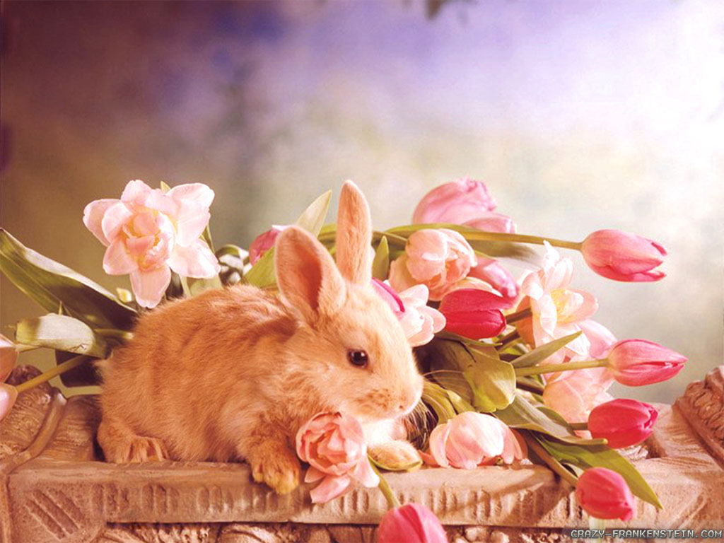 Happy And Cute Easter Wallpaper HD