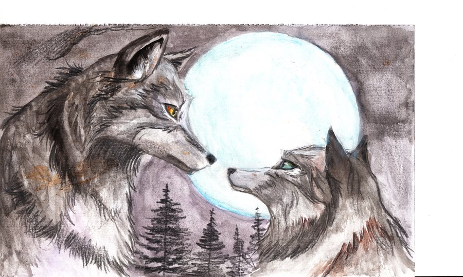 Wolves In Love By Spaceweasel2306 HD Walls Find