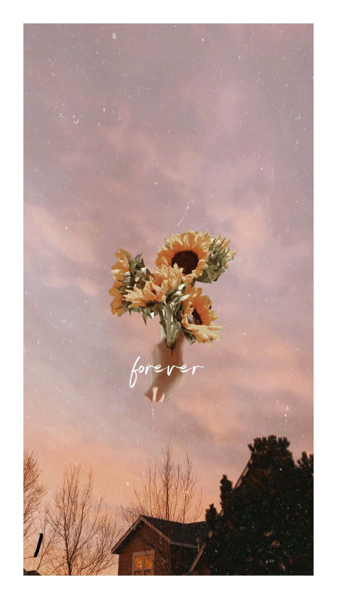 Sunflower Aesthetic iPhone Wallpaper
