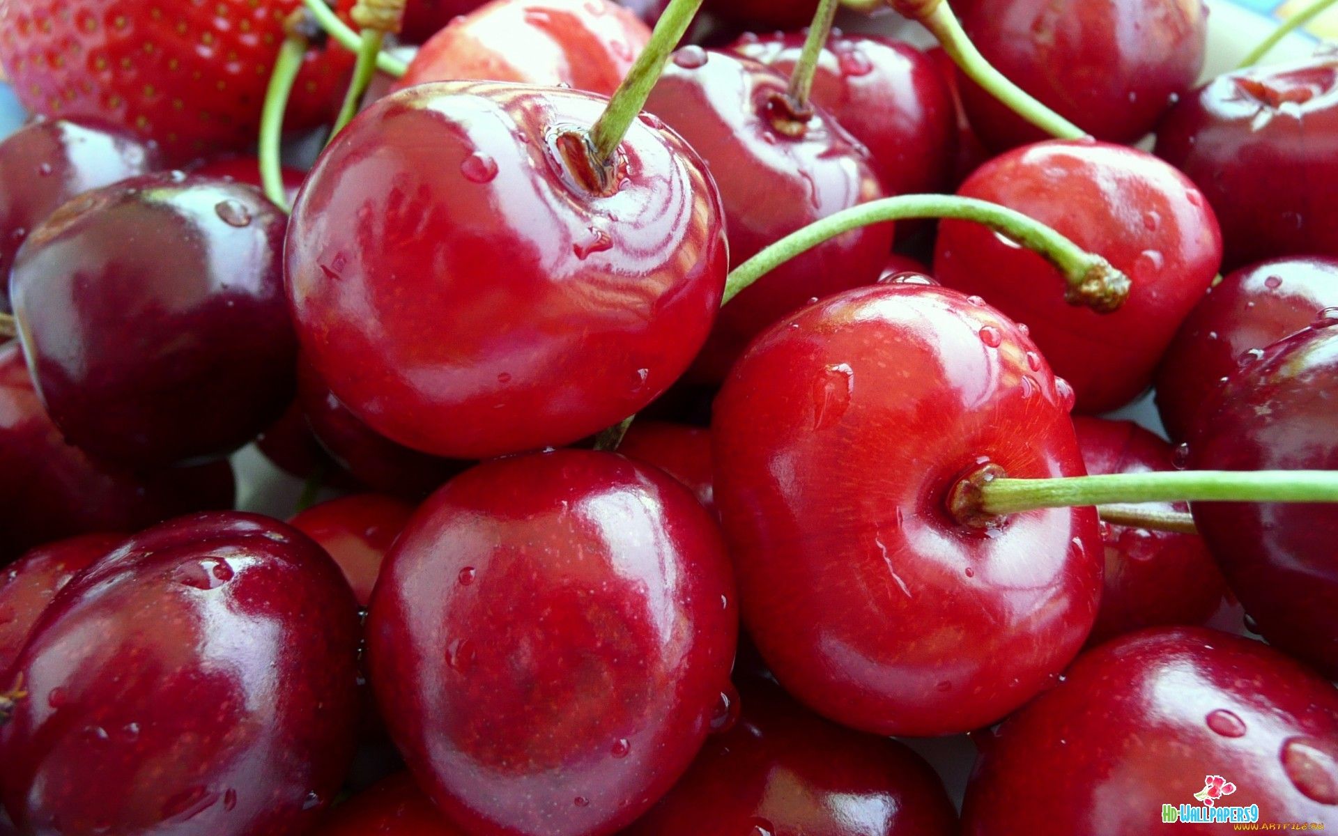 Fruit HD Wallpaper Cherry Photo